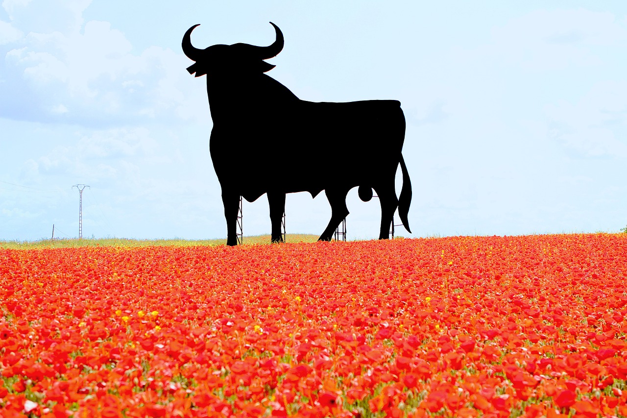 İspanya'nın Festival Şöleni La Tomatina, Pamplona Boğa Koşusu ve Renkli Kutlamalar 