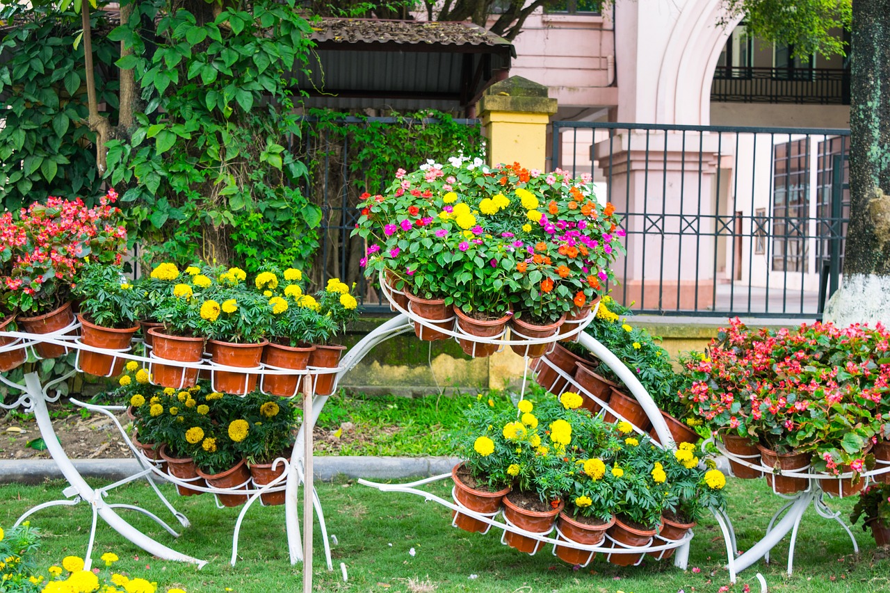 Mae Fah Luang Garden Tayland'ın Renkli Çiçeklerle Süslü Bahçesi