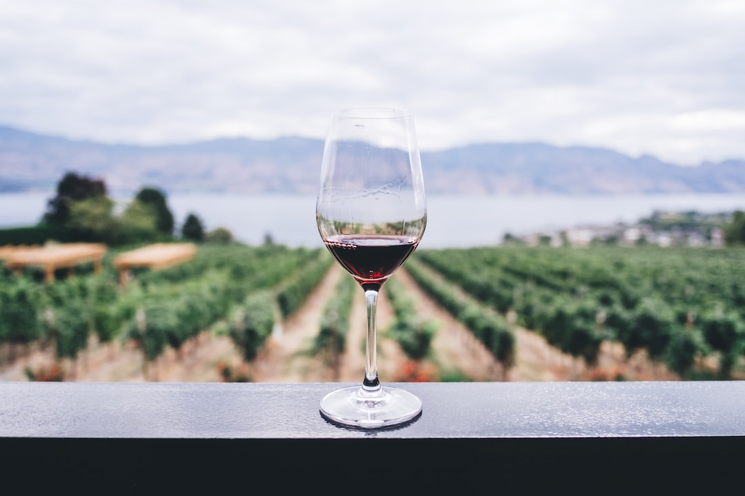 Burgonya'nın Şarap Rüyası