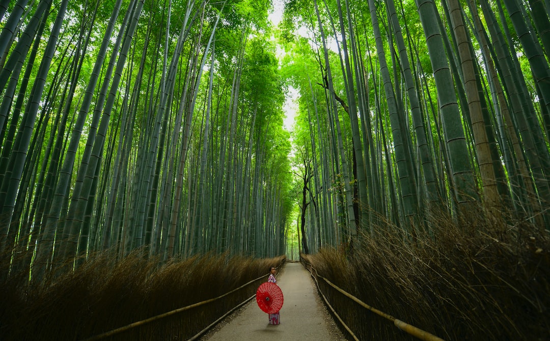 Kyoto'da Bulunan Gizli Hazine Arashiyama Bambu Ormanı