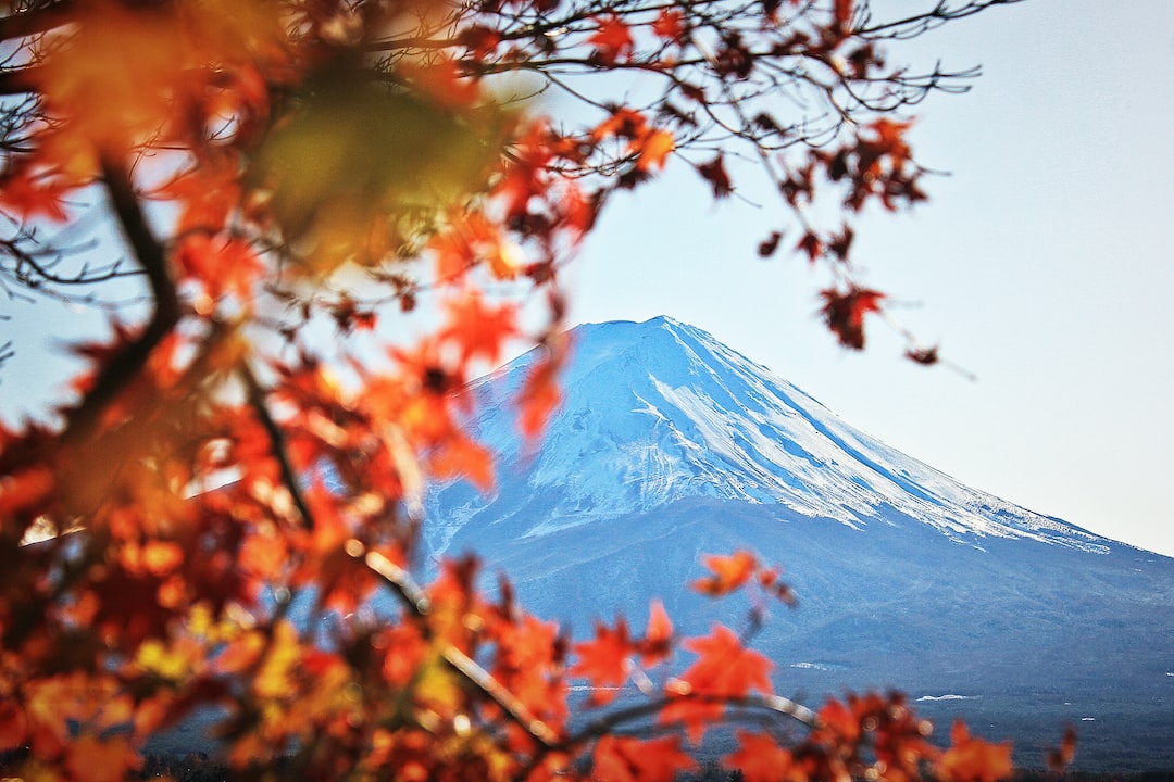 Fuji Dağı'nı Fotoğraflamak için En İyi Noktalar ve Teknikler