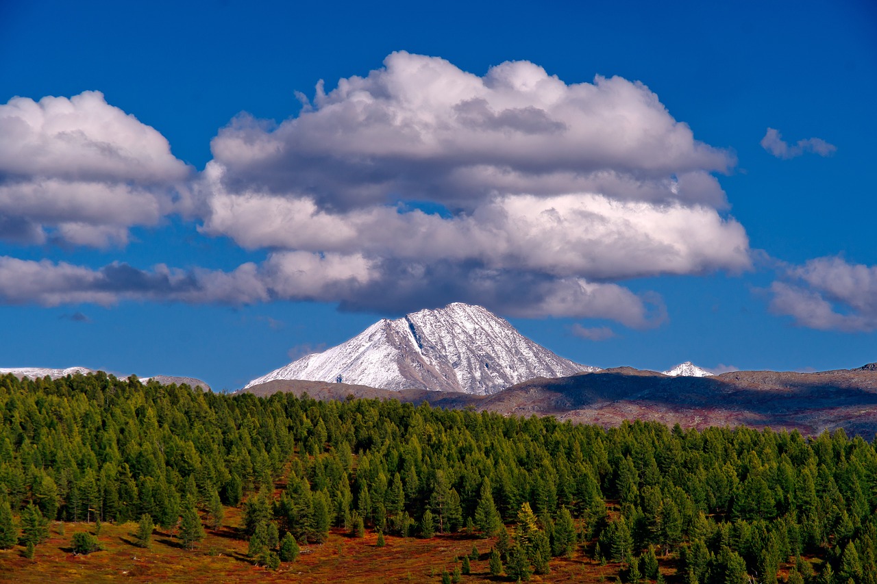 Altai Gözlemevi