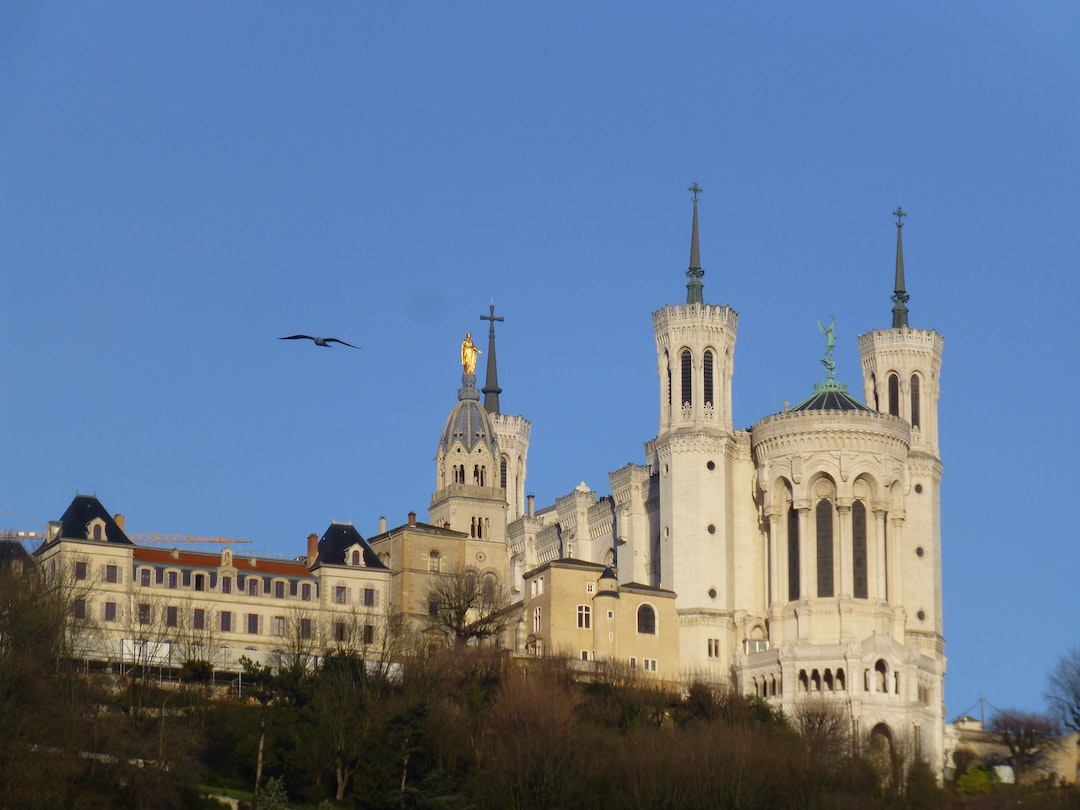İlahi Estetiğin İzinde Fransa'nın Muhteşem Katedralleri ve Bazilikalarının Sanatsal İncelikleri