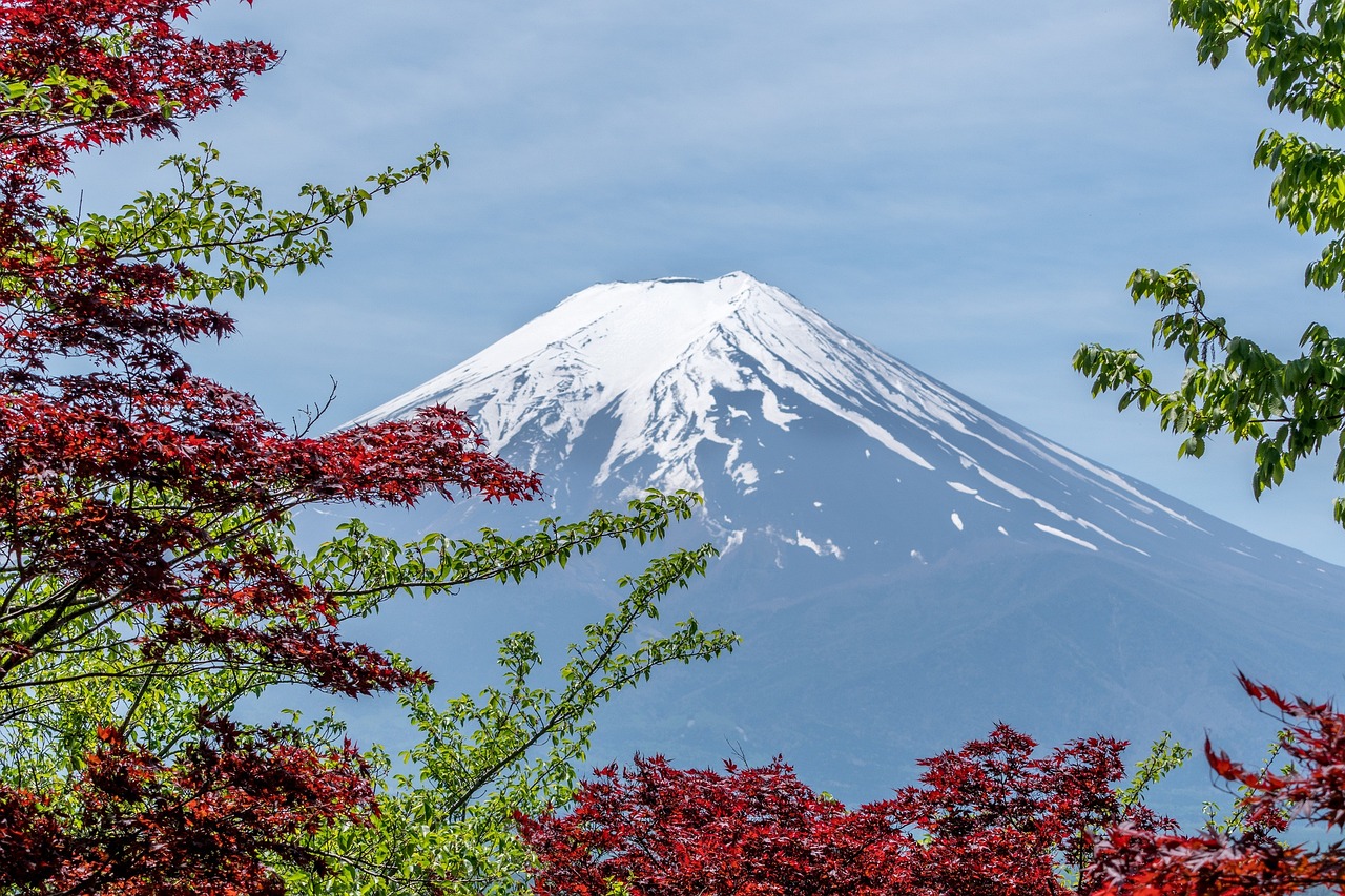 Fuji Dağı ve Doğal Hayat Bitki ve Hayvan Türleri