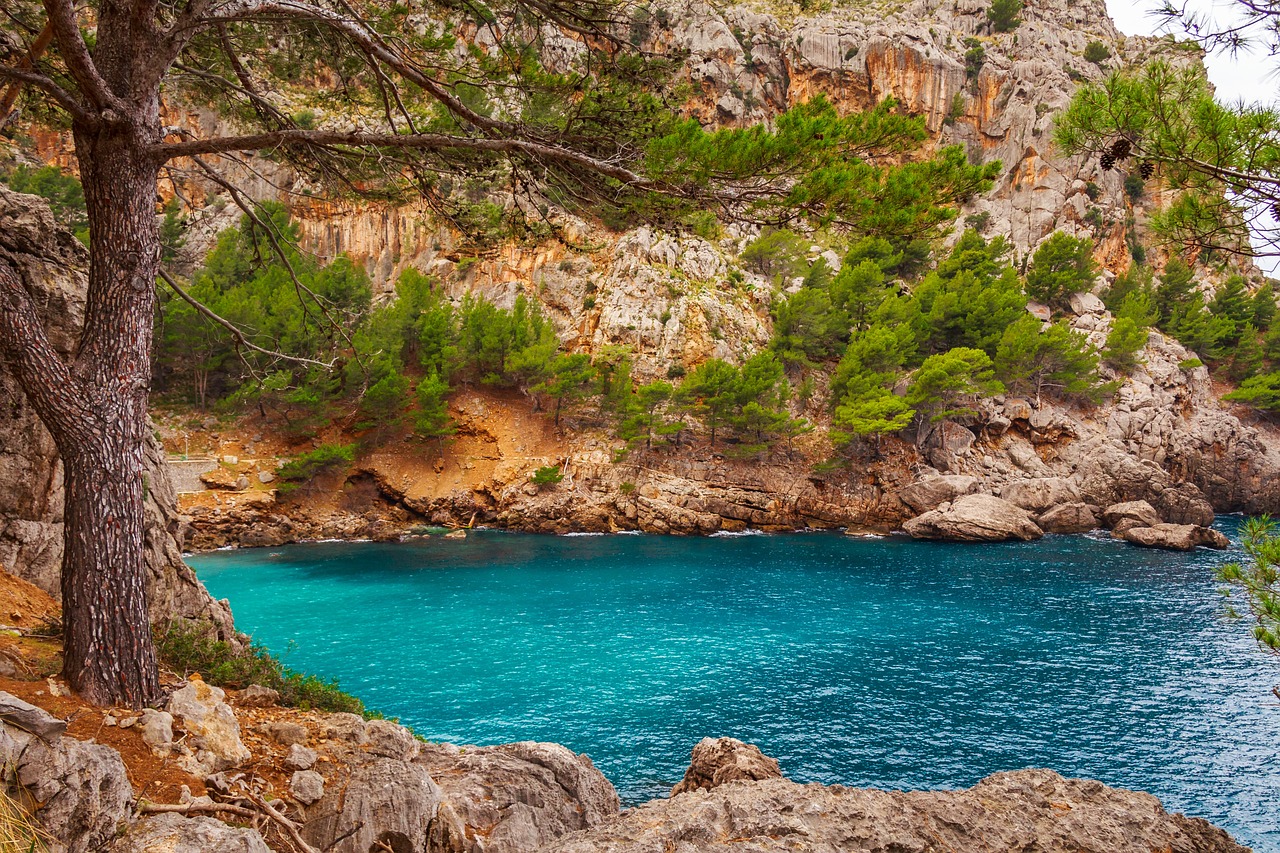 Eşsiz Güzellikler Mallorca, Ibiza ve Kanarya Adaları'nın Muhteşem Deniz Tatili Rotaları